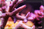 PNG0080