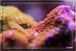 PNG0083