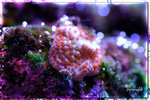 PNG0229