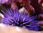 PNG0001