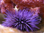PNG0011