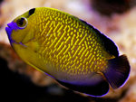 PNG0058
