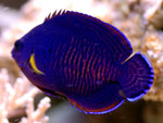 PNG0066