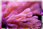PNG0128