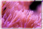 PNG0129