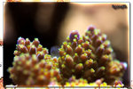 PNG0089