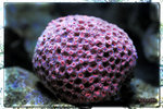 PNG0093