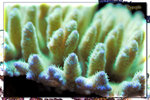 PNG0142