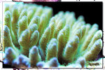 PNG0143