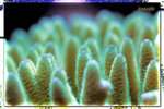PNG0145