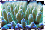 PNG0150