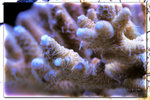 PNG0159