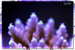 PNG0179