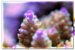 PNG0182