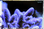 PNG0188
