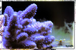 PNG0189