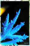 PNG0190