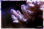 PNG0014
