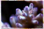 PNG0015