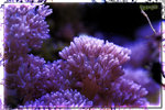PNG0022