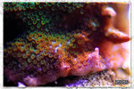 PNG0277