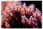 PNG0281
