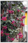 120409_DSF1007