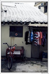 120409_DSF1009
