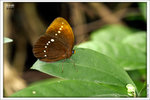 120409_DSF1017