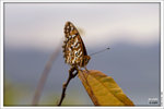 120409_DSF1025