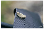 120409_DSF1034