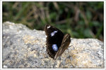 120409_DSF1039