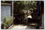 120409_DSF1048