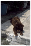 120409_DSF1049
