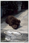 120409_DSF1050