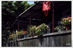 120409_DSF1051