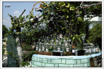 120409_DSF1052