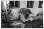 120409_DSF1062
