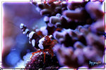 PNG0022