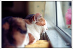 Scan-101011-0015