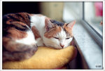 Scan-101012-0001