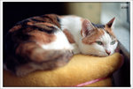 Scan-101012-0002