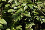 D200-010