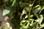 D200-011