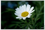 120316_DSF0738