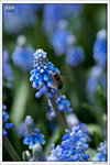 120316_DSF0739