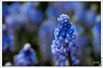 120316_DSF0740