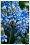 120316_DSF0747
