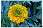120316_DSF0748