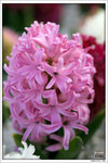 120316_DSF0749